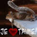 Sauveur de coeur "Je t'aime"