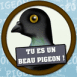 "Tu es un beau pigeon"
