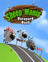 Sheep Mania